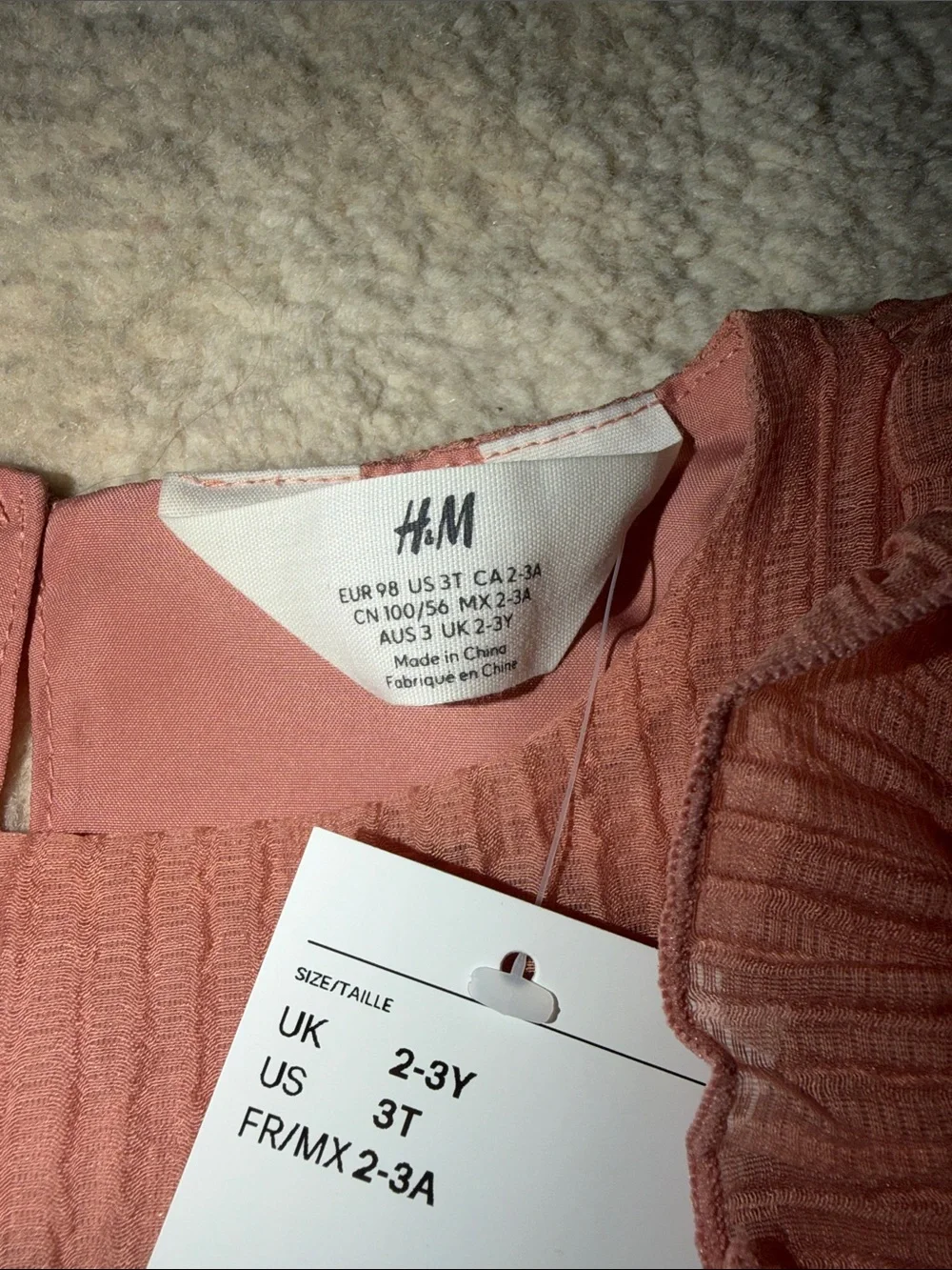 NEW H&M Girls Rust-Pink Ruffle Flutter Dress